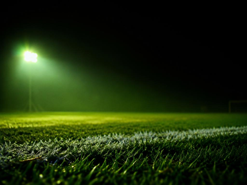Firm Ground